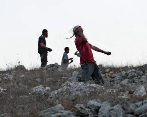 ثلاث إصابات باعتداء مستعمرين في الأغوار الشمالية 